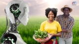 AI In Agriculture Works Magic for Increased Food Production in Africa